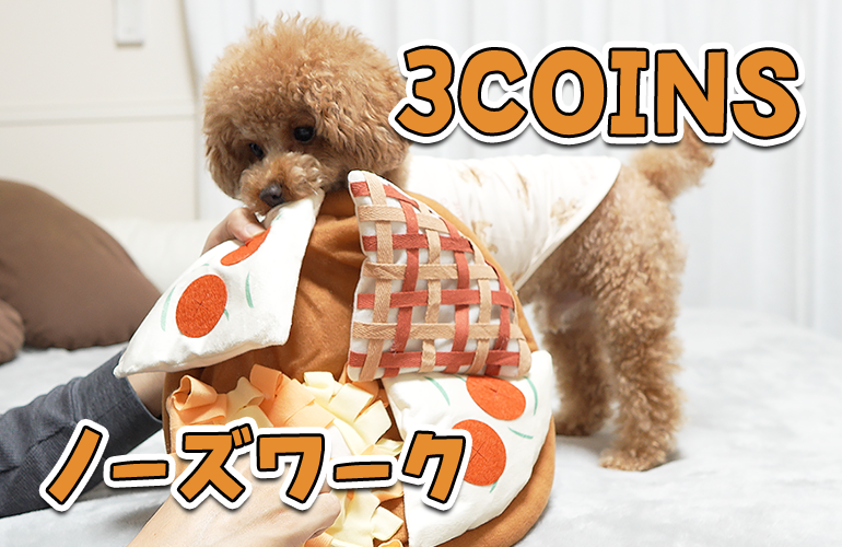 【3COINS】スリーコインズのノーズワークで大興奮する犬