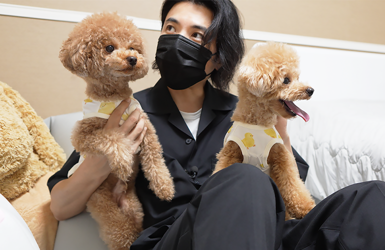 雷が怖すぎて仲の悪い先住犬と子犬がこうなりました